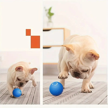 Smart Dog Bouncing Ball Toy