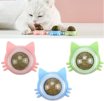 Cat Toy Catnip licking ball