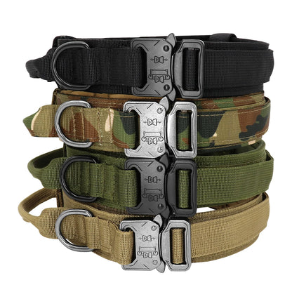 Ensemble collier tactique militaire pour chien et laisse élastique