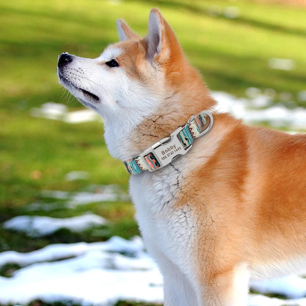 Collier d'identification personnalisé pour chien