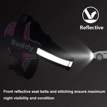 Reflective Personalized Dog Harness