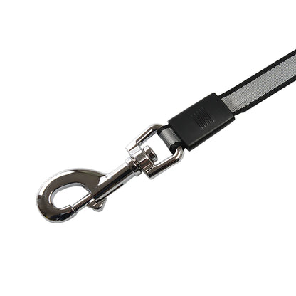 FlexiWalk Dog Leash