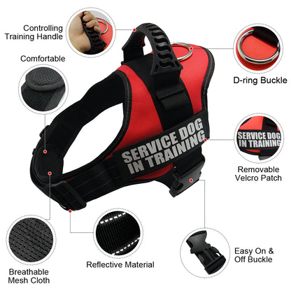 Reflective Personalized Dog Harness