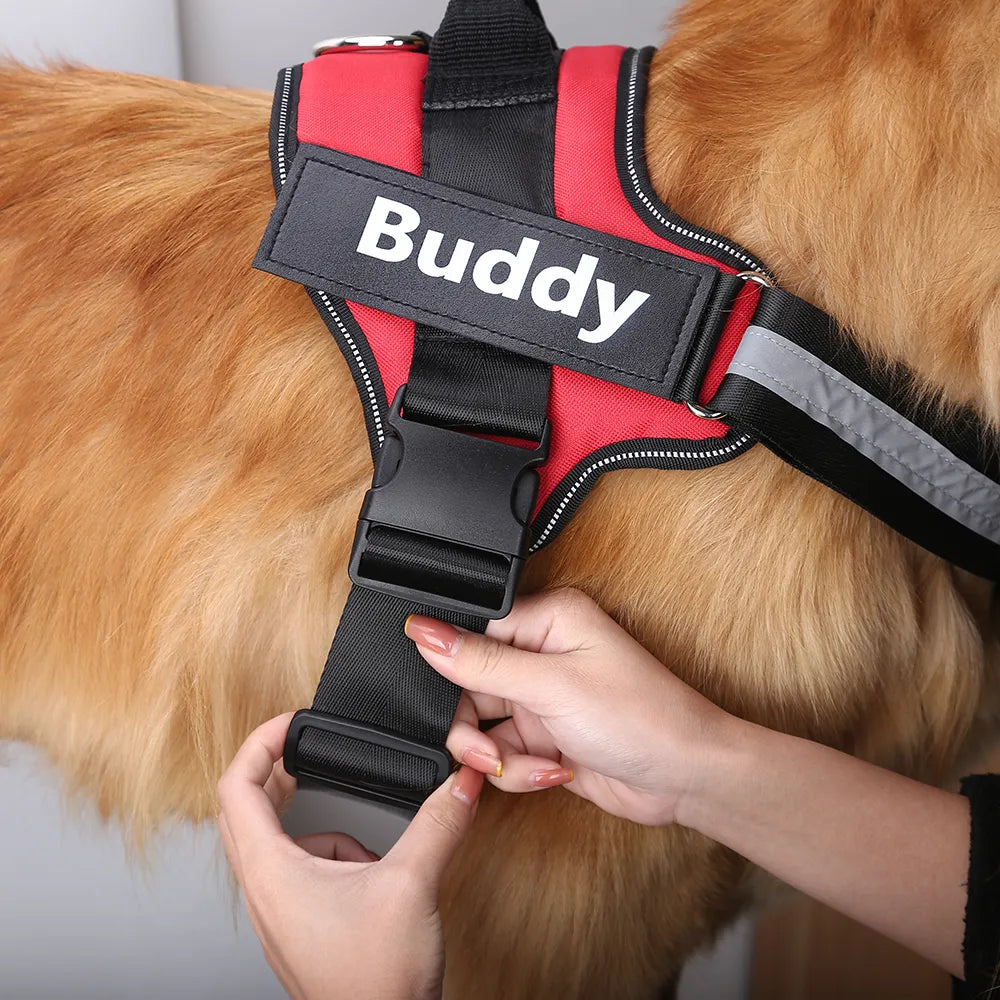 Reflective Personalized Dog Harness