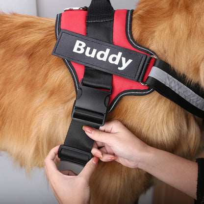 Reflective Personalized Dog Harness