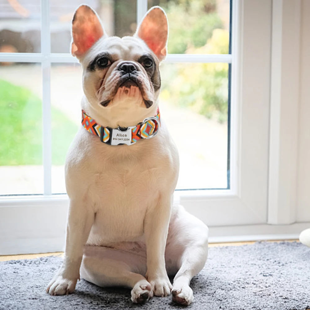 Collier d'identification personnalisé pour chien