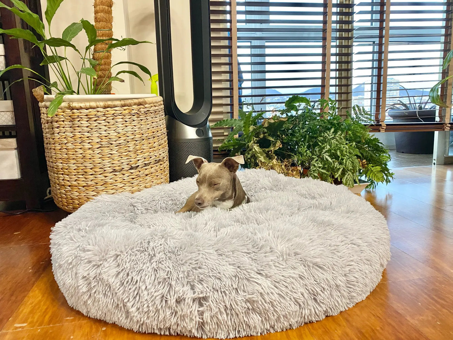 Super Soft Dog Donut Plush Bed