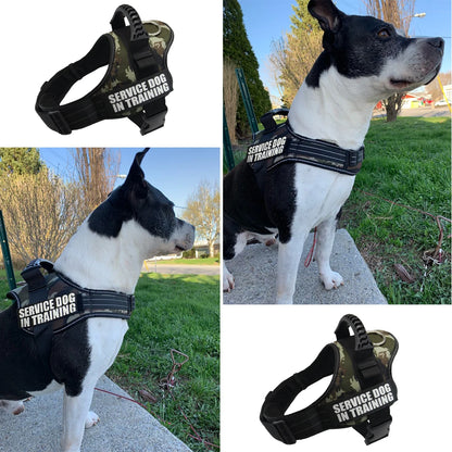 Reflective Personalized Dog Harness