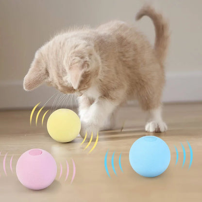 Catnip Smart Ball Toy