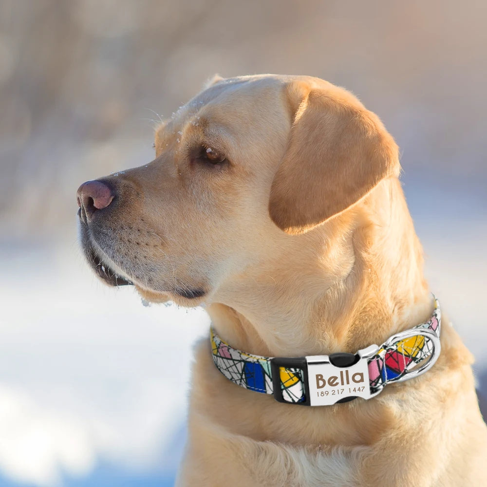 Collier d'identification personnalisé pour chien