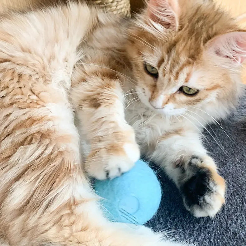 Catnip Smart Ball Toy