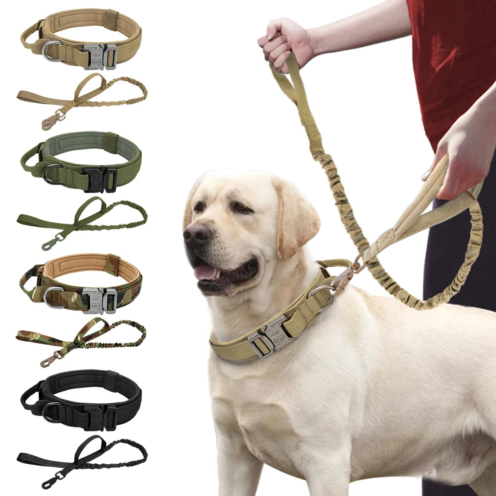 Ensemble collier tactique militaire pour chien et laisse élastique