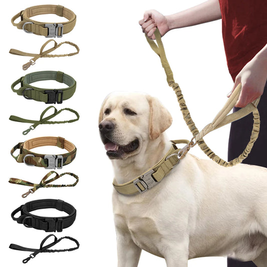 Military Tactical Dog Collar & Bungee Leash Set