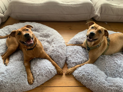 Super Soft Dog Donut Plush Bed