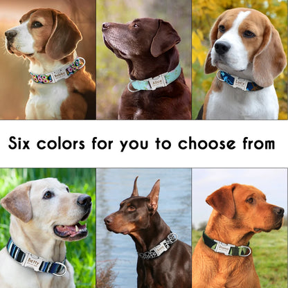 Personalized Dog ID Collar