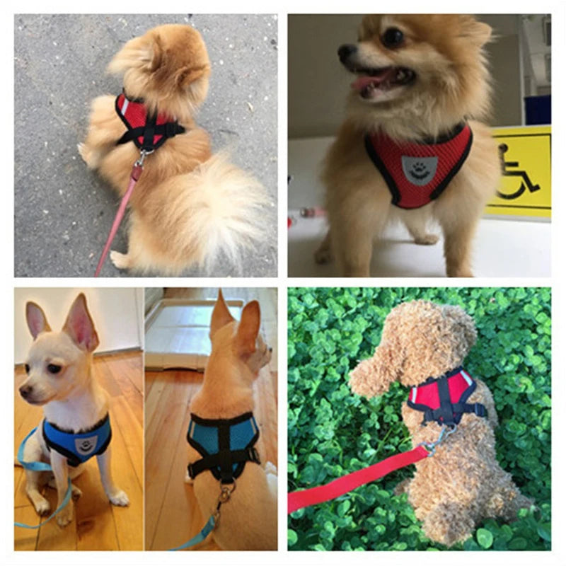 Adjustable Pet Harness