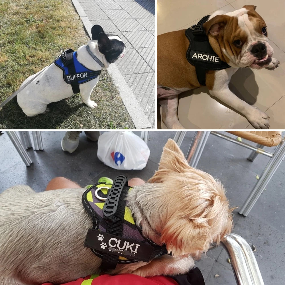 Reflective Personalized Dog Harness