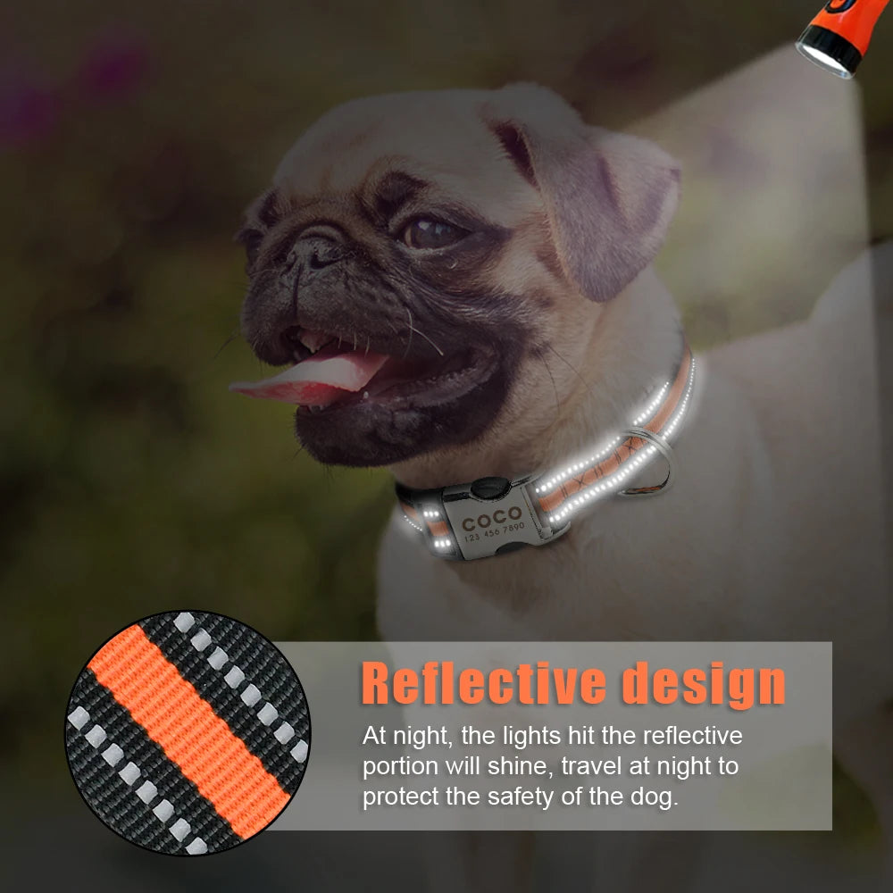 Personalized Dog ID Collar