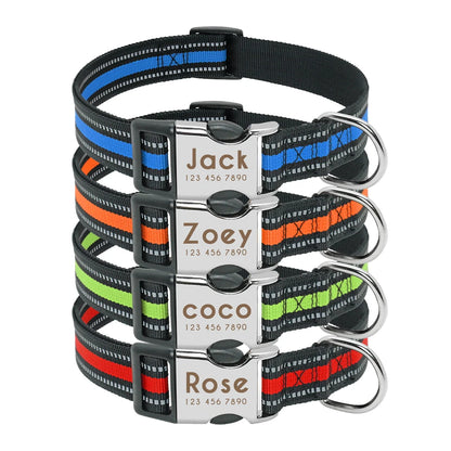 Personalized Dog ID Collar