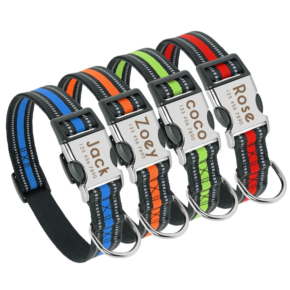 Personalized Dog ID Collar