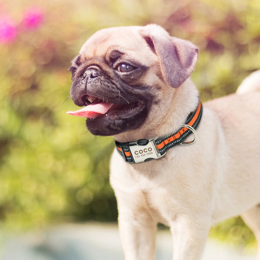 Collier d'identification personnalisé pour chien