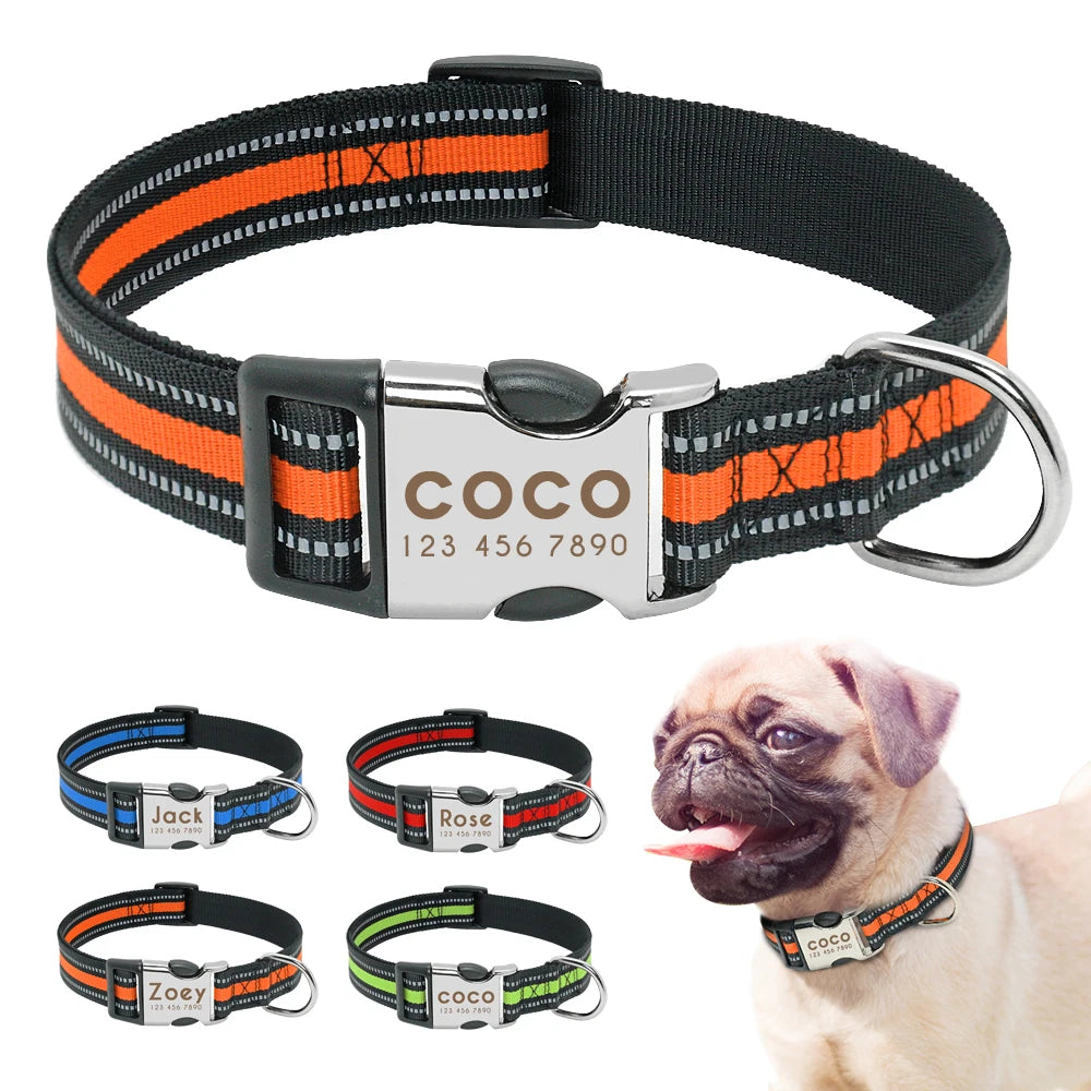 Collier d'identification personnalisé pour chien