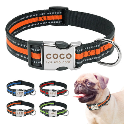 Personalized Dog ID Collar