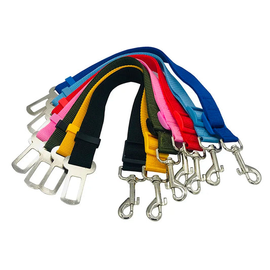 Ceinture de sécurité pour voiture pour chien