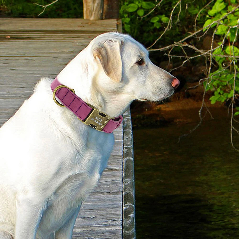 Colliers pour chiens en cuir personnalisés avec étiquettes d'identification gravées