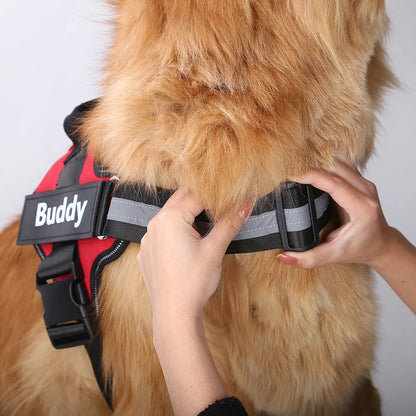 Reflective Personalized Dog Harness