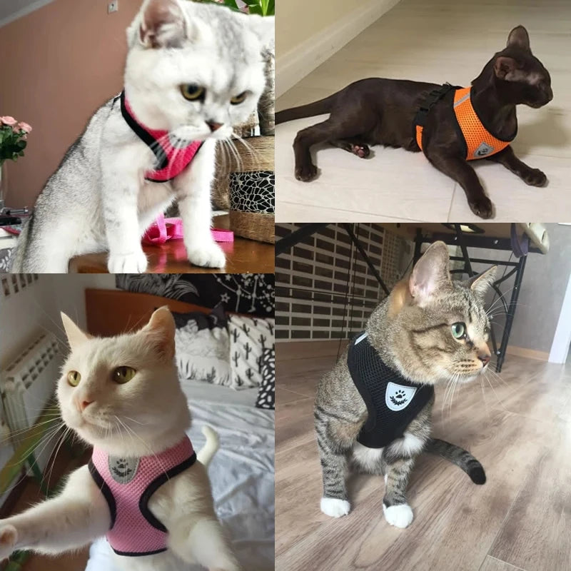 Adjustable Pet Harness