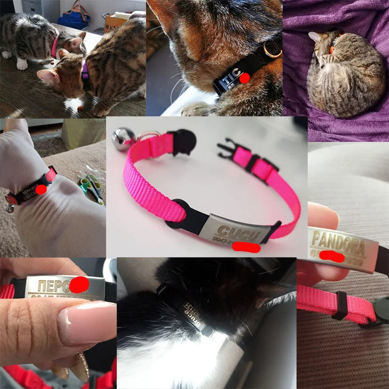 Personalized Cat Safety Collar