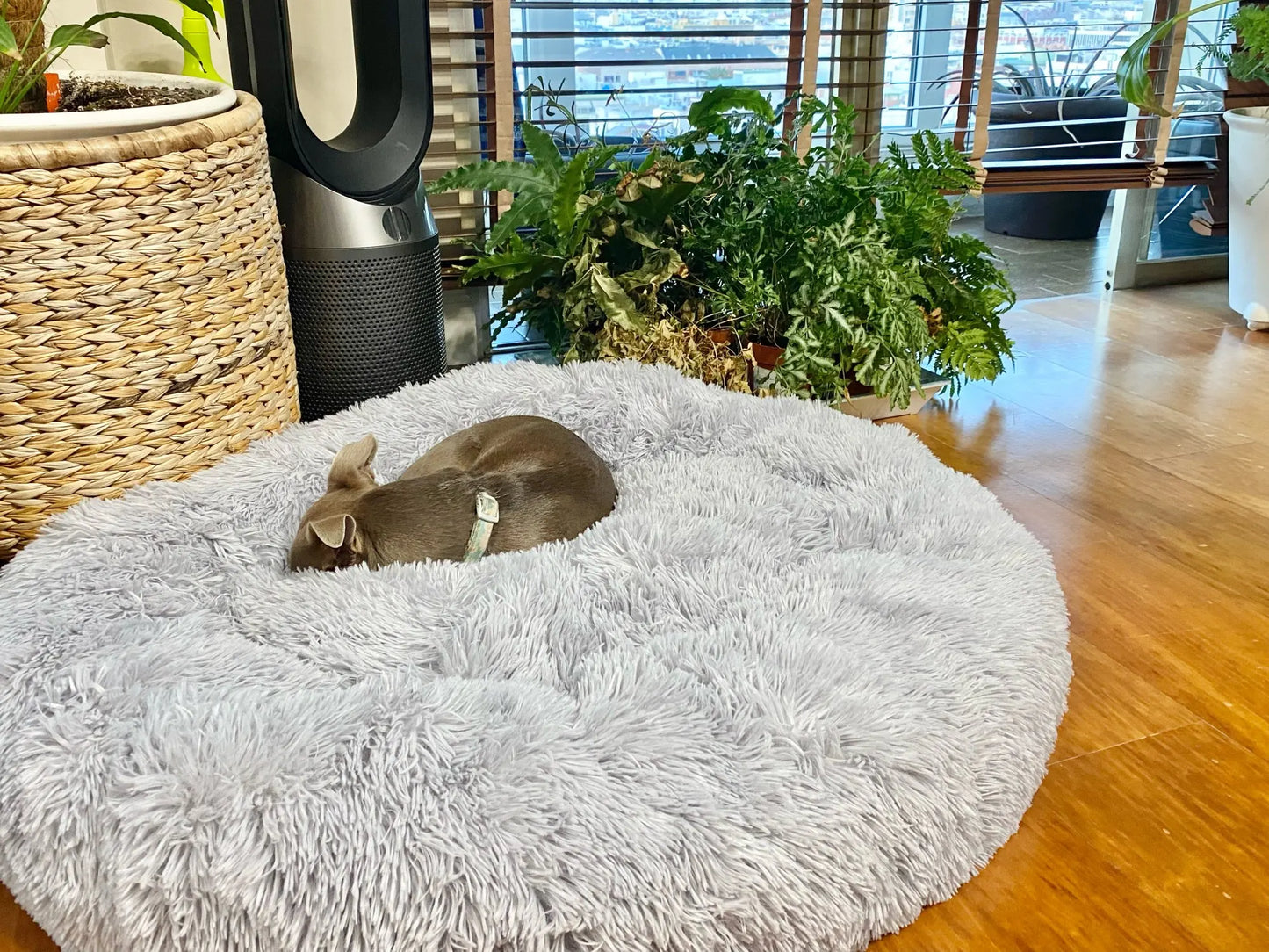 Super Soft Dog Donut Plush Bed