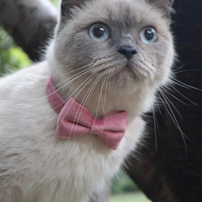 Plaid Velvet Cat Collar