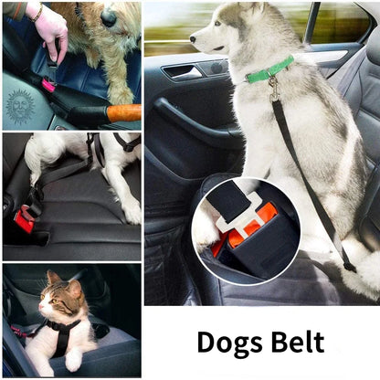 SecurePaws Dog Seat Belt