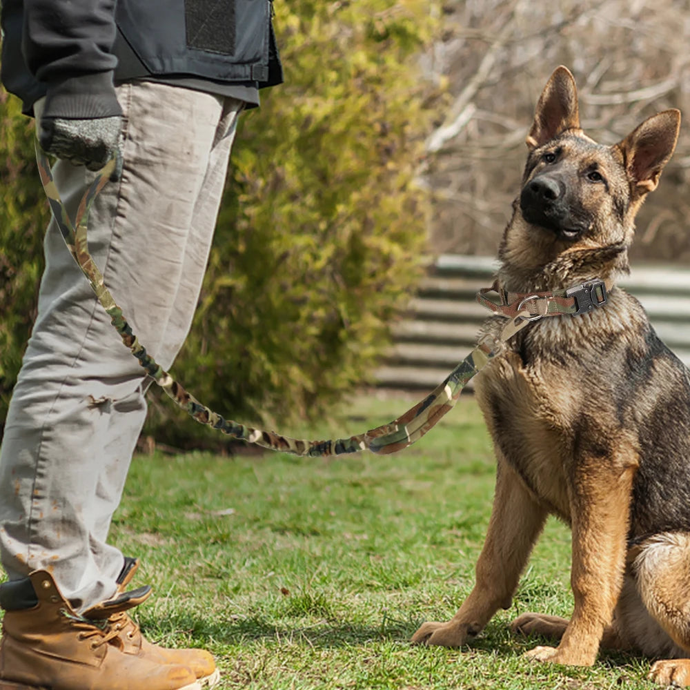 Ensemble collier tactique militaire pour chien et laisse élastique