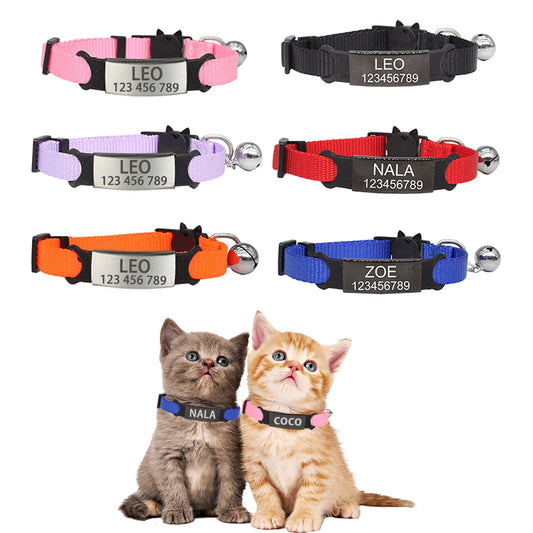 Collier de sécurité personnalisé pour chat