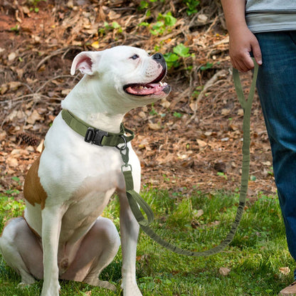 Ensemble collier tactique militaire pour chien et laisse élastique