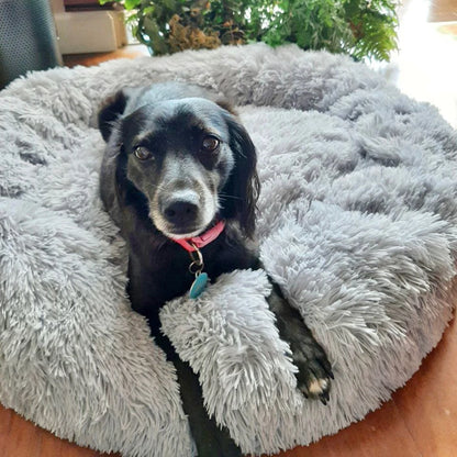 Super Soft Dog Donut Plush Bed