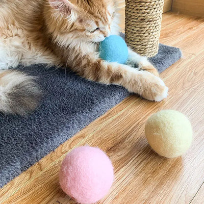 Catnip Smart Ball Toy