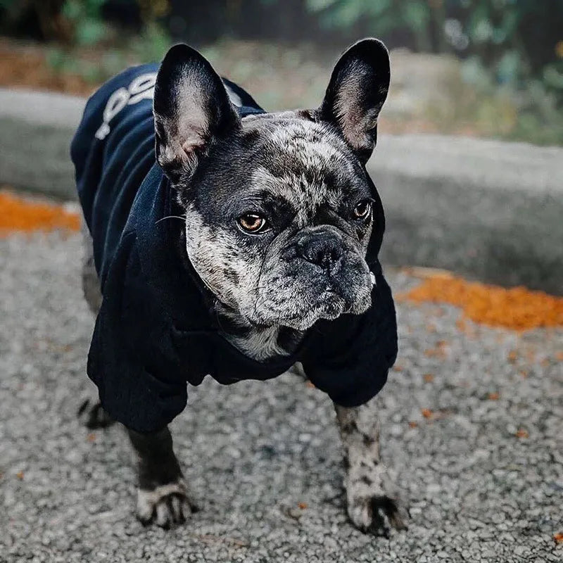 Adidog Pet Hoodies