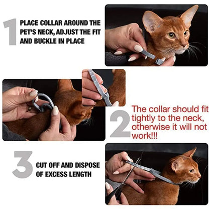 Flea Shield Pets Collar