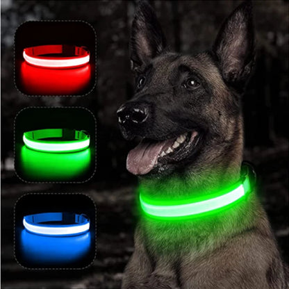 Collier de chien lumineux LED