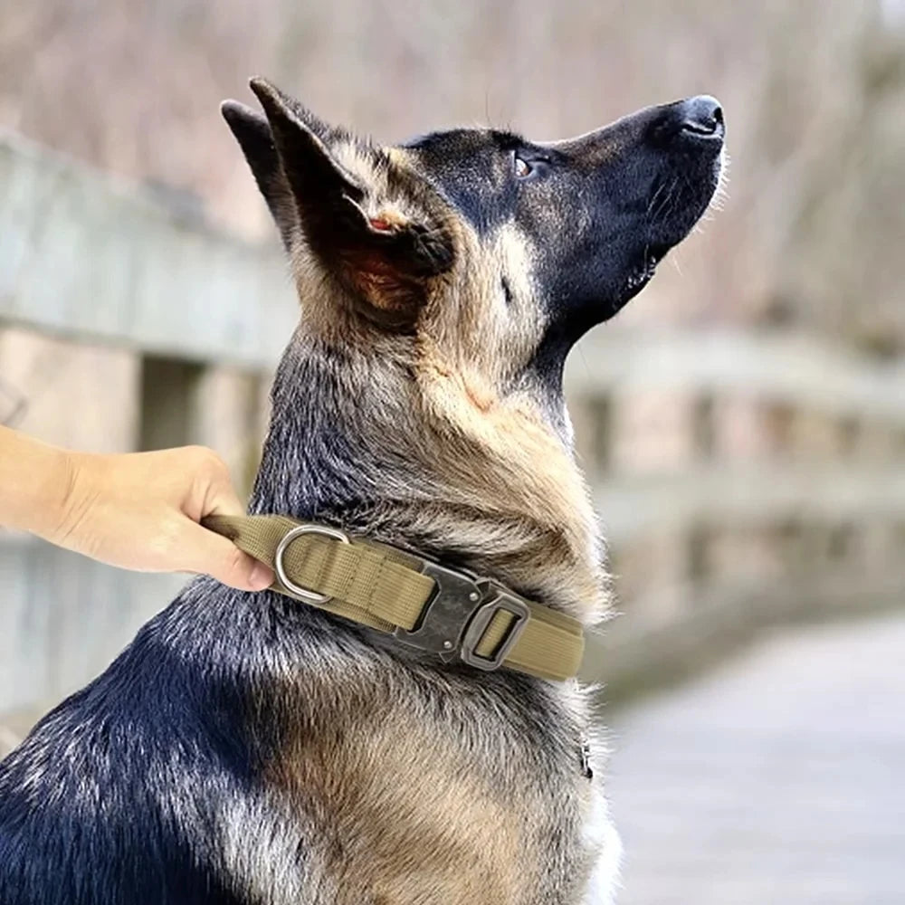 Tactical Military Dog Collar