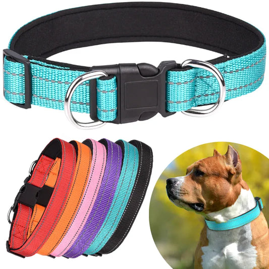 Collier pour chien rembourré en néoprène réfléchissant