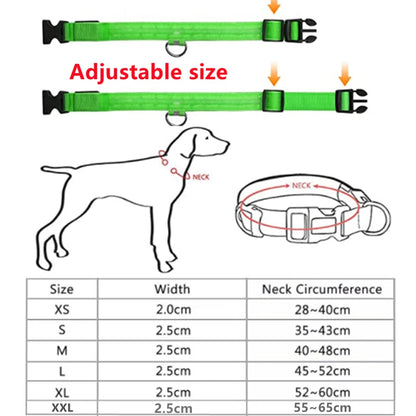 Collier de chien lumineux LED