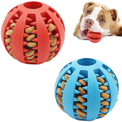 Ultimate Dental Care Dog Ball Toy – Keep Your Pup's Smile Bright!