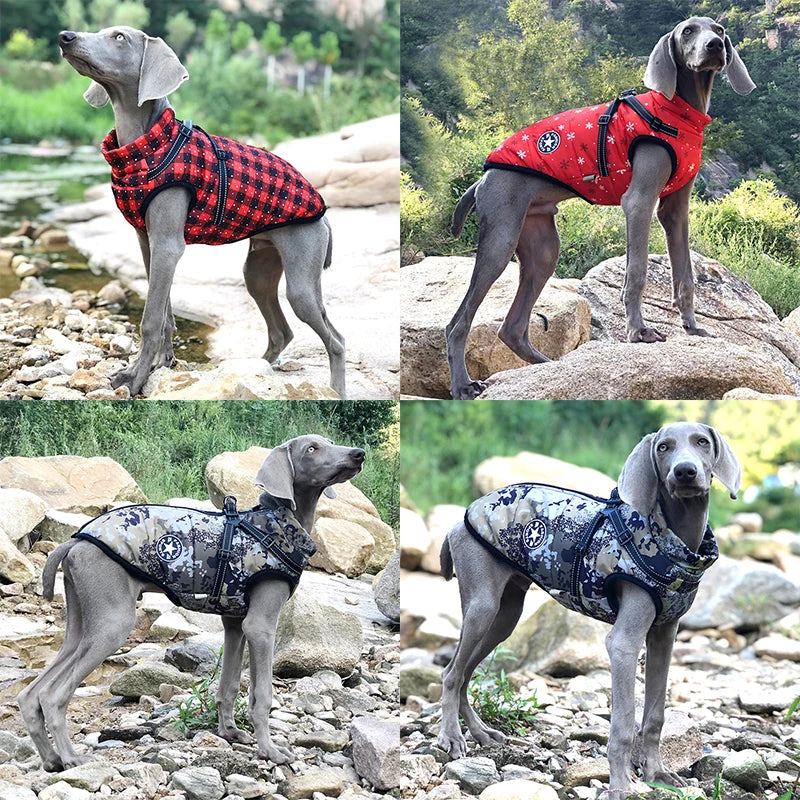 Warm Waterproof Dog Jacket with Harness