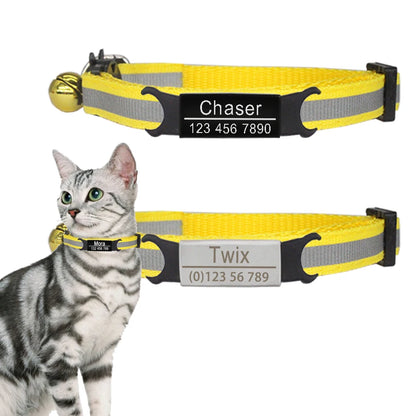 Custom Cat Safety Collar