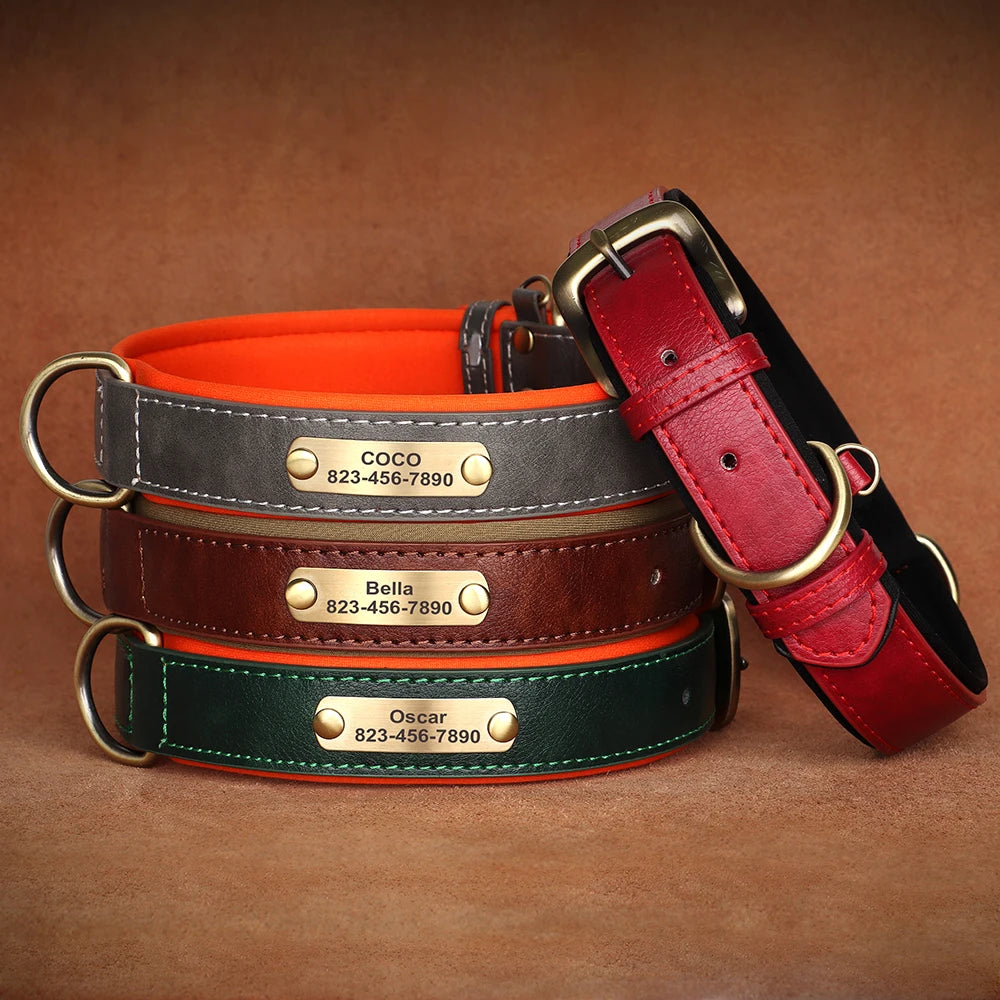 Personalized Leather Dog Collar